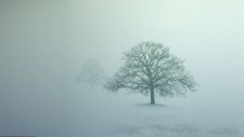 Landscape mist photography nature snow winter outdoors Custom Gaming Mat Desk