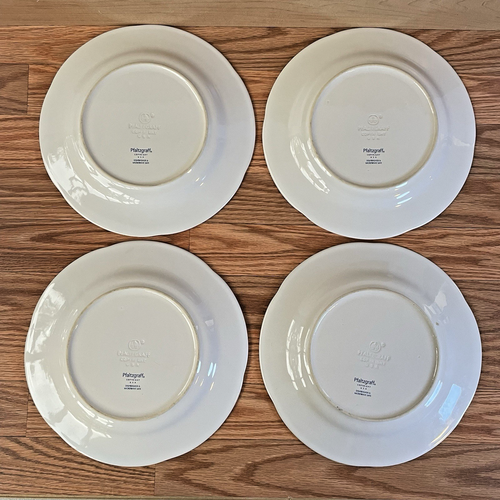 Pfaltzgraff Grapevine Pattern Set Of 4 Dinner Plates - Picture 2 of 14