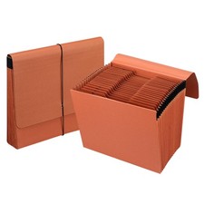 Heavy Duty Expanding File Folder Organizer,21 Pockets Accordion File Organize...