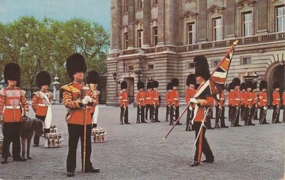 AK Changing the Guards Ceremony at Buckingham Palace,  London. 