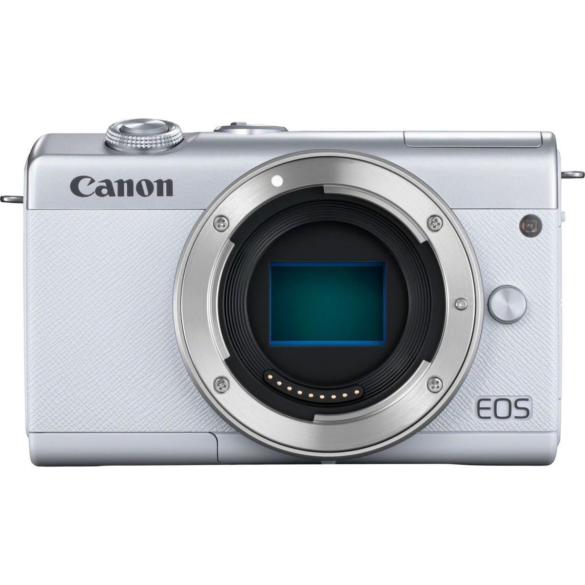 Canon EOS M200 24.1 MP Mirrorless Interchangeable Lens