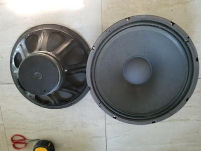 carvin 15 inch speaker