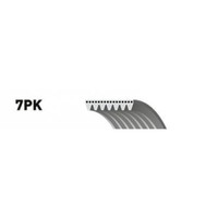 Gates V-Ribbed Belts Micro-V® Horizon 7PK1843