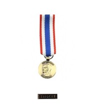 LOT REDUCTION MEDAILLE DE LA PROTECTION MILITAIRE DU TERRITOIRE AGRAFE TRIDENT