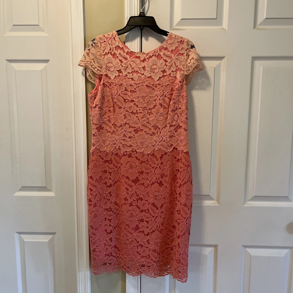 Antonio Melani Peach Coral Ombr Scalloped Lace Overlay Sheath