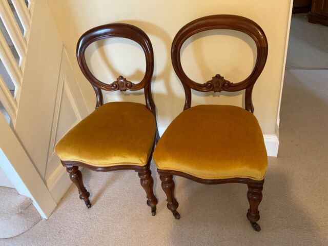 balloon back victorian mahogany chairs newly upholstered in mustard velvet