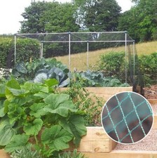 Image of Vegetable Fruit Cages With Green Bird Netting Different Sizes Available