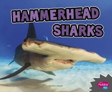 Deborah Nuzzolo All About Sharks Hammerhead Sharks (Paperback) (UK IMPORT)