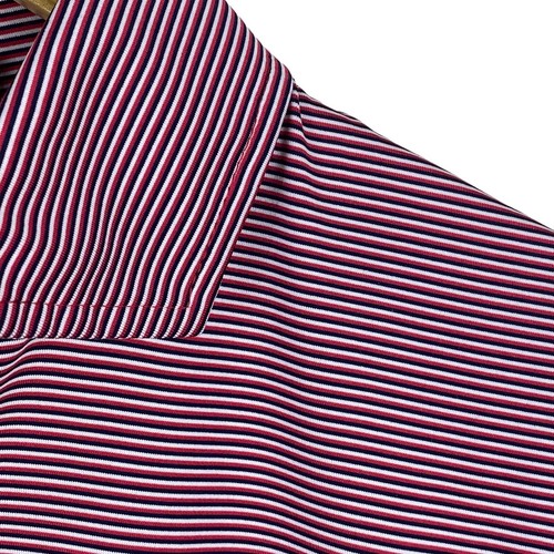 RLX Ralph Lauren Men’s Golf Polo Shirt Size M Pullover Wicking Red Blue Striped - Picture 5 of 10