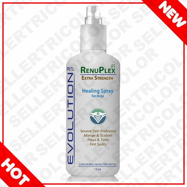 dog mange shampoo treatment