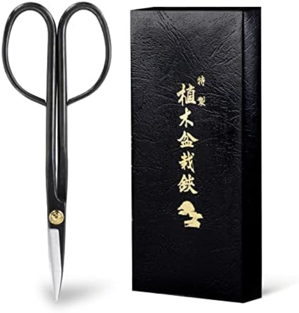 Wazakura Forbici Bonsai Professionali 210mm Acciaio Carbonio S58C