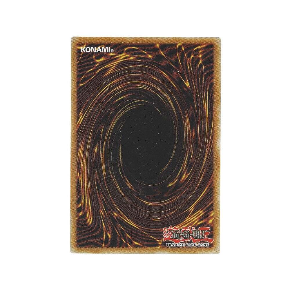 Protector Whelp DUOV-EN008 Protector Whelp of the Destruction Swordsman 1st Ed Ultra ...