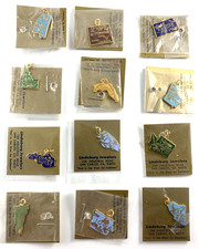 Charms di Stato Smaltati | Lotto di 12 | Tonalità Oro | Nuovi Vecchio Stock