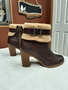 teddy bear timberlands