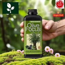 Growth Technology Olive Focus Liquid Fertiliser Nutrients for Olive trees-1L