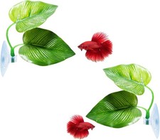 Organic Betta Fish Leaf Pad Set - Comfortable Rest Areas for Aquariums