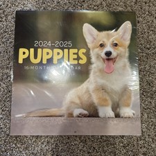 2024-2025 Puppies 16 Month Large Hanging Wall Calendar NEW size 12  x12  