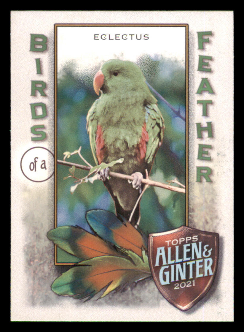 Birds of a Father  “Merry, Merry” 912Hr6o1WlL._UF350,350_QL50_.jpg