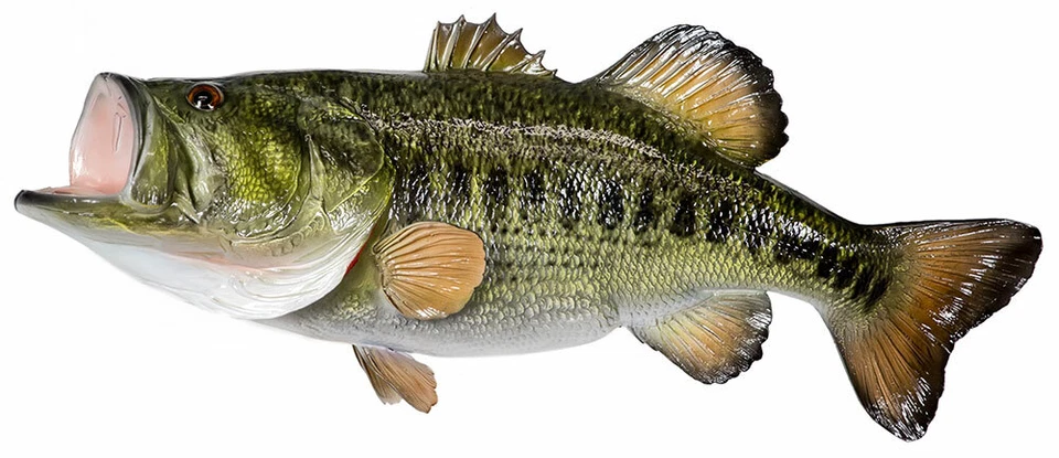 I'm a Fishing S.O.B. Window Cling Decal 1/2" White Letters Fish  Car Truck Boat - Image 2 of 3