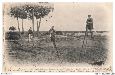 ASOP13-0812-33 - Arcachon - Wader Landais