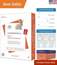 Multipurpose 20 lb Copy Paper, 500 Sheets - 3 Hole - 8.5x11, Acid-Free Quality