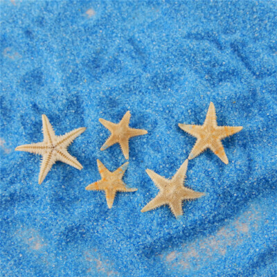 20 Mix Sea Star Tiny Starfish Natural Shell Art Craft Nautical Decor 0.5-1.5cm