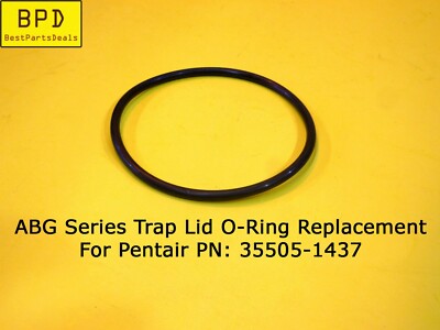 1x Pentair ABG Series Trap Lid Replacement O-Ring For Pentair