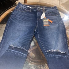 JAG Jeans Viola High Rise Skinny Blue Denim Size 16W NWT!