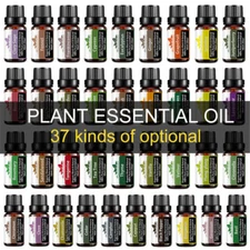 10mL Essential Oils Fragrances Oil Therapeutic Grade Oil Natural Aromatherapy US