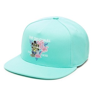 disney snapback hat