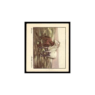 Mother and Son 1939 Godfrey Phillips Old Masters #36 VG