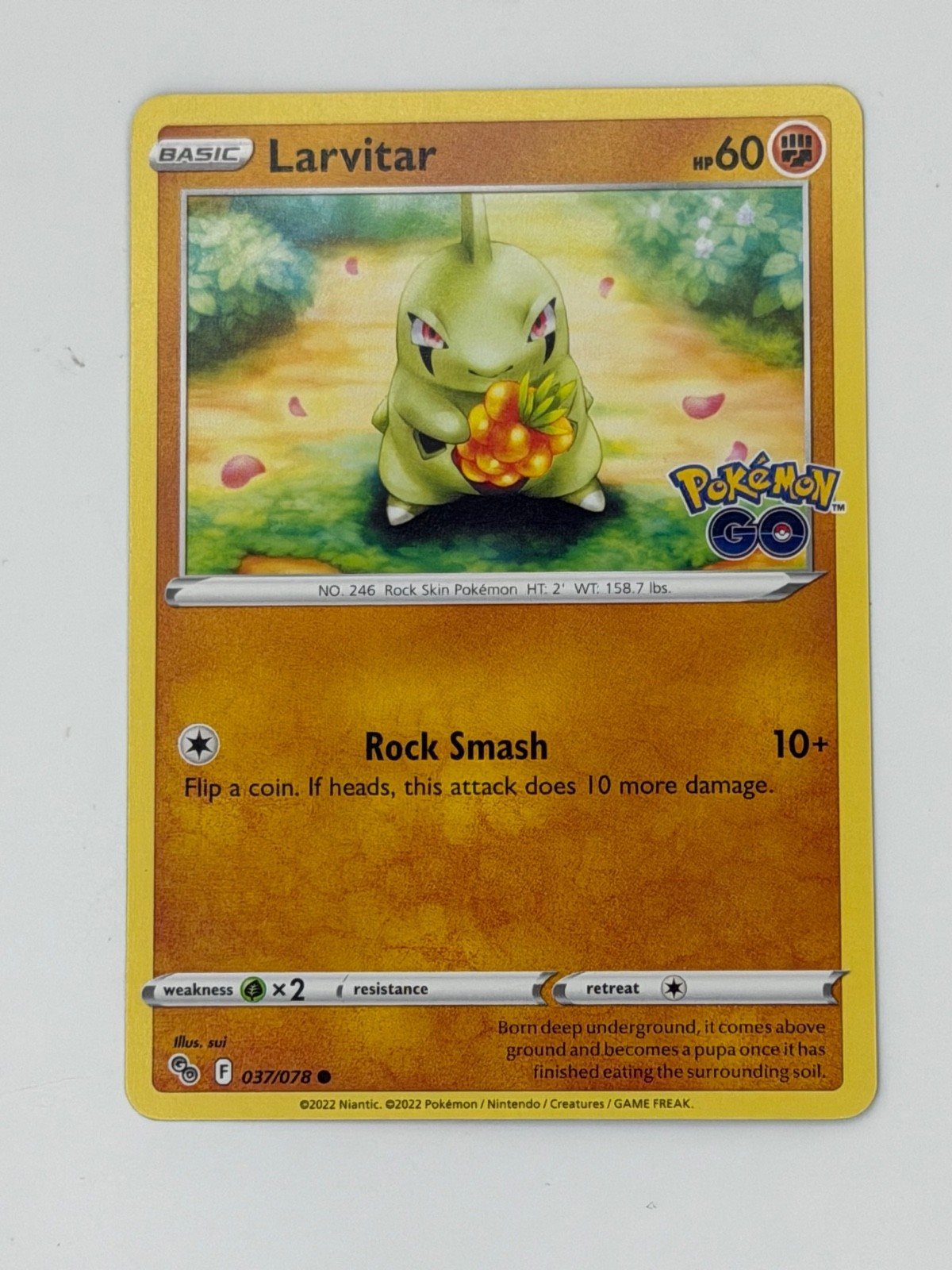 Larvitar #37 Pokemon Sword & Shield:Pokemon Go