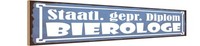 Holzschild 10X46 Cm Staatl. Gepr. Bierologe Bier Deko Geschenk Holz Schild