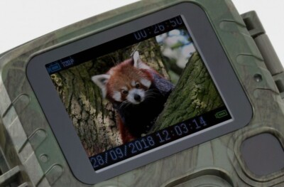 3 Nature Wildlife Cam TX 117 Full HD Surveillance Camera Wildlife