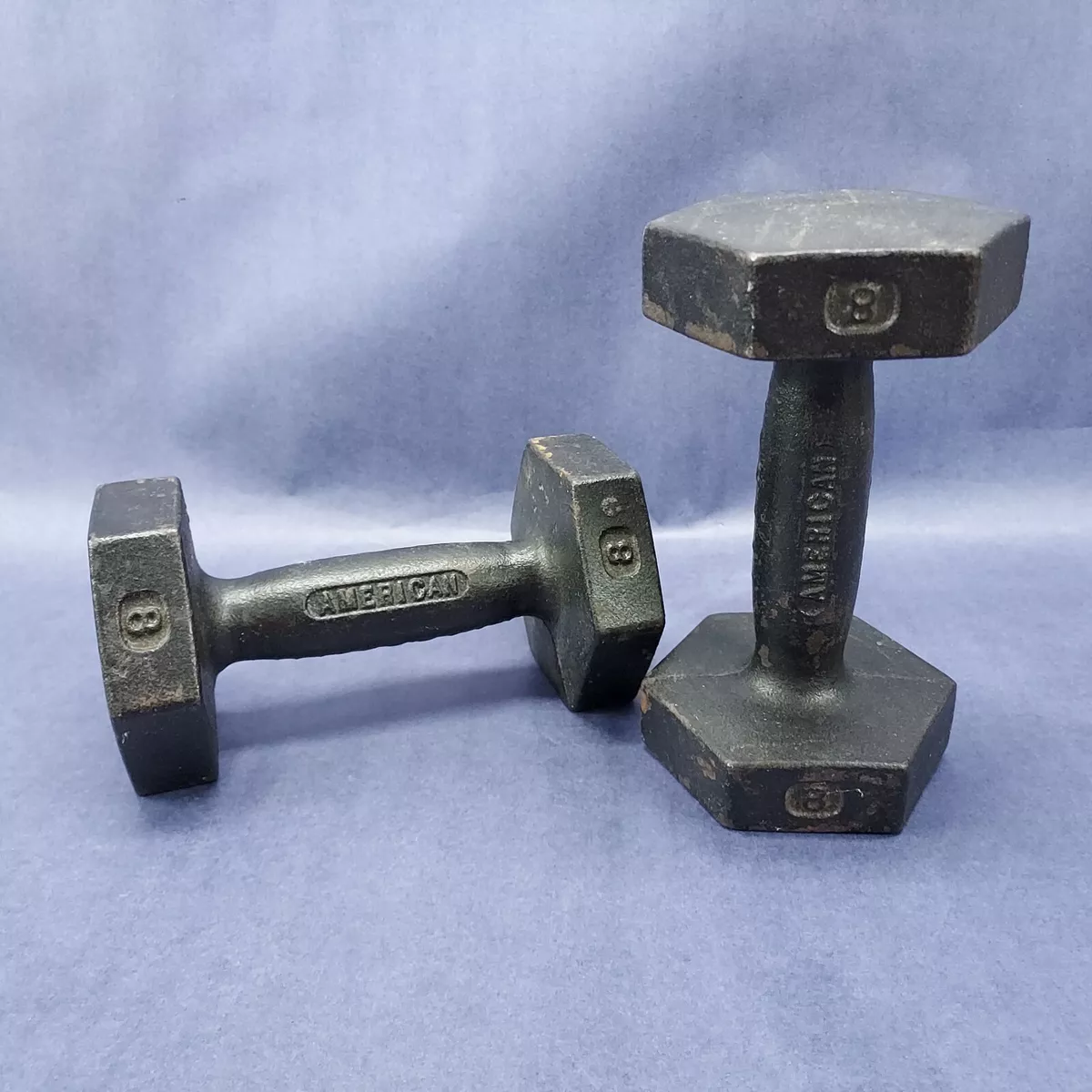 8lb dumbbell hotsell