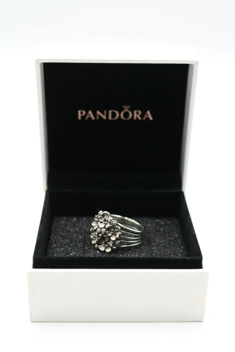 Ale 56 pandora clearance