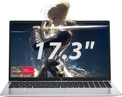 ACEMAGIC AX17PRO 17.3'' Laptop AMD Ryzen 4300U (4C/4T, Up to 3.7GHz) 16GB 512GB