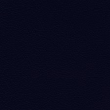 GM Navy Leather Dye