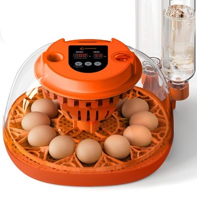 12 Egg Incubator with Automatic Turning & Humidity Control, Fully Automatic I...