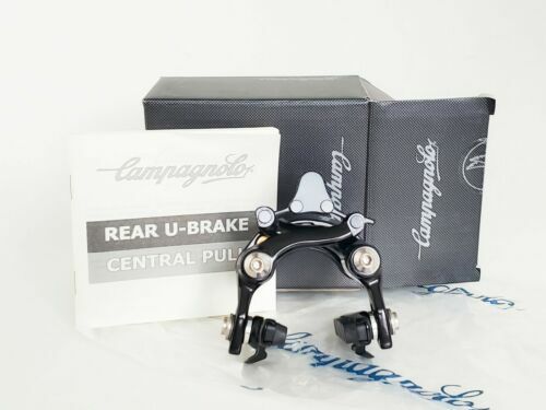 Campagnolo 03 Disc Brake Rotor - 160mm, Center Lock, Silver/Black