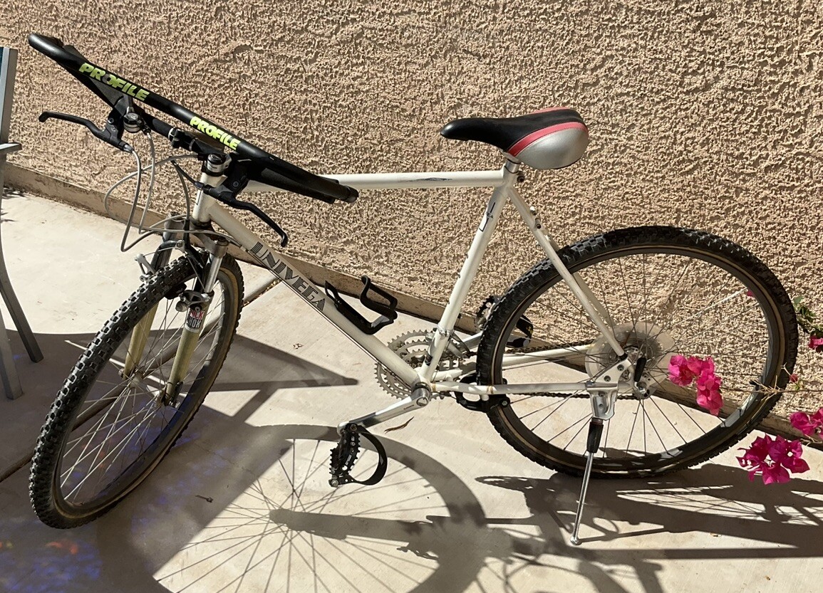 80s VTG Univega Alpina Pro 21” Bicycle: Araya* Ritchy* Rock Shox