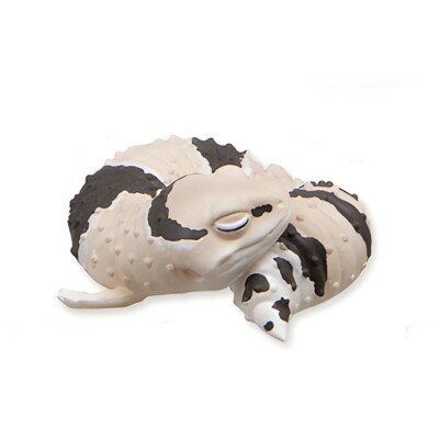 Sleeping African Fat Tailed Crested Gecko Lizard Figure Blind Box