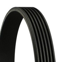 Continental Ctam 6PK1310 Keilrippenriemen