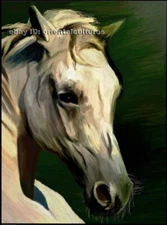 Chinese 100% real natural silk thread,su hand embroidery kits:horse 10.5"