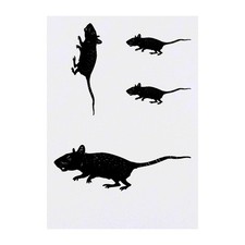4 x 'Spotted Rat' Temporary Tattoos / Transfers TO00016374 