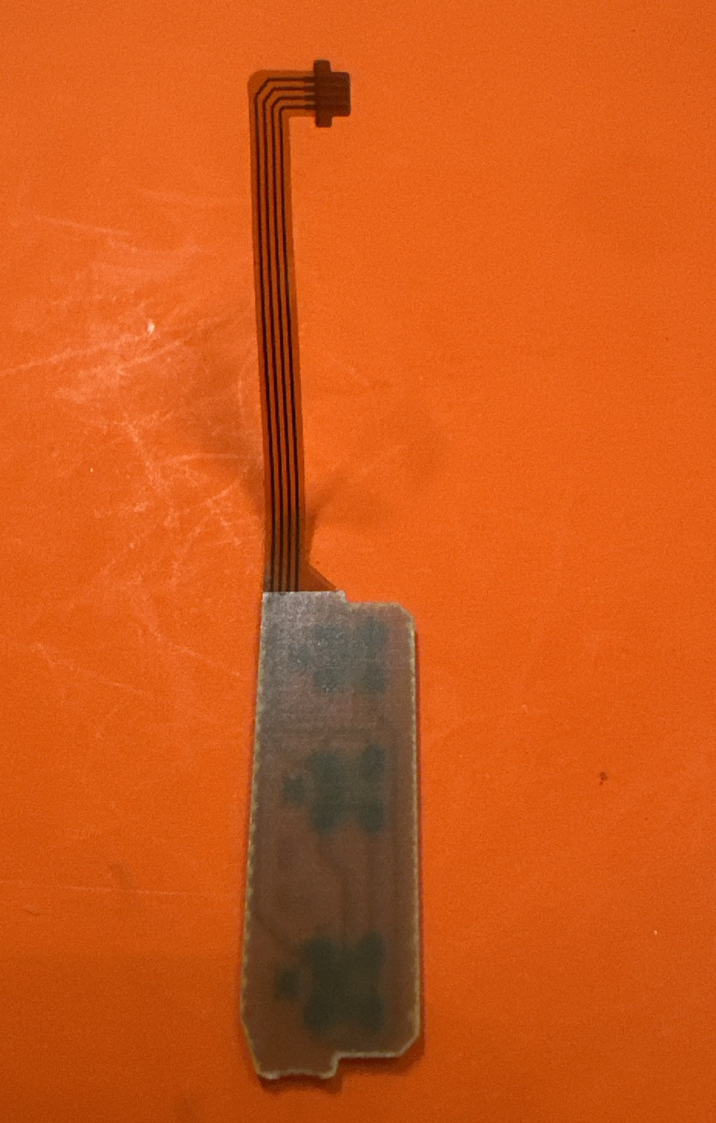 Picture 3