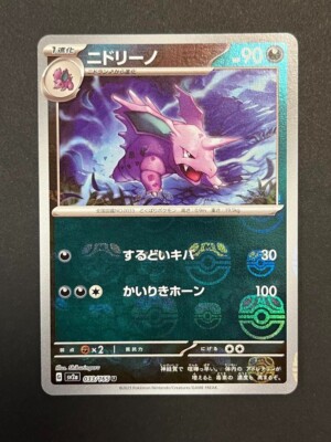 raihan pokemon trainer card Raihan | Pokmon Wiki