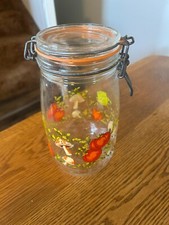 Vintage 1.5 Liter Mushroom Vegetable Glass Jar Canister Bail Lid Made in France