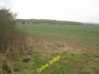 Photo 6x4 Early stages of oilseed rape Hatch Warren  c2012
