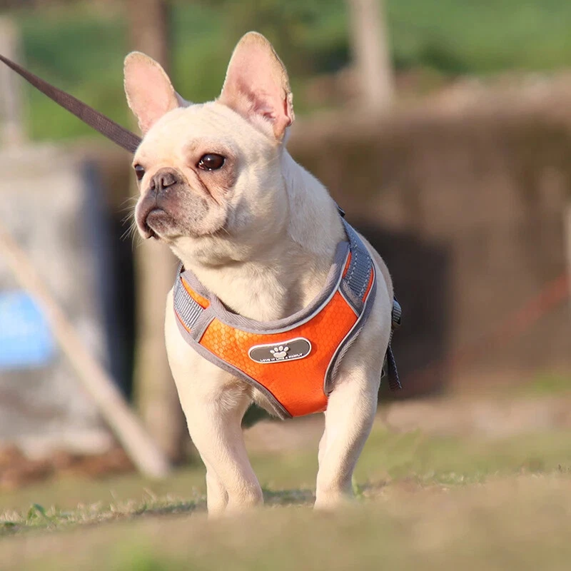 Dog Harness Vest Breathable Dog Training Reflective Nylon Pet Chest Strap New US